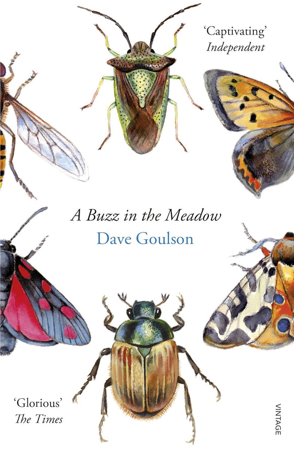 A Buzz in the Meadow; Dave Goulson