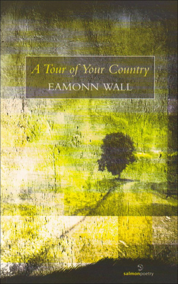 A Tour of Your Country; Eamonn Wall (Salmon Poetry)