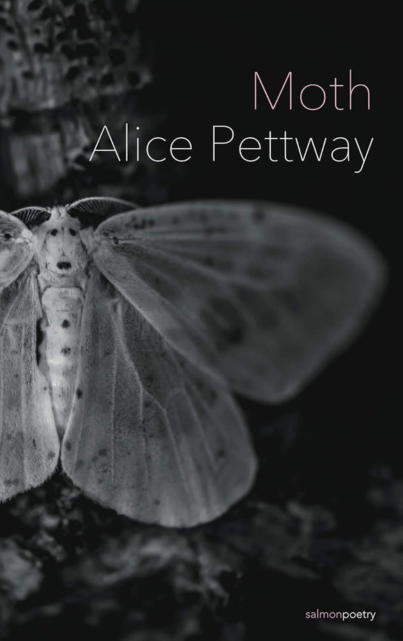 Moth; Alice Pettway (Salmon Poetry)