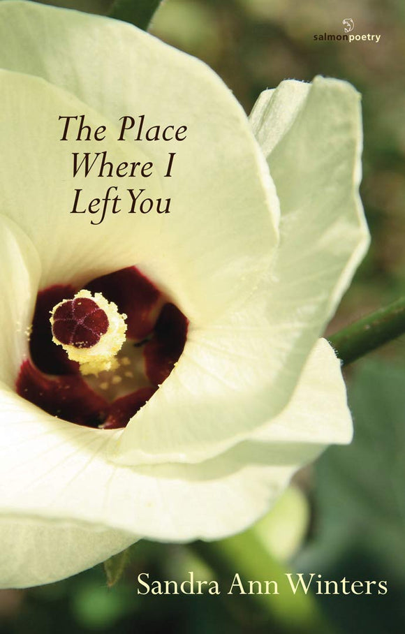 The Place Where I Left You; Sandra Ann Winters (Salmon Poetry)