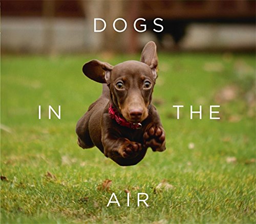 Dogs in the Air; Jack Bradley