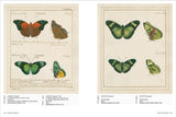 Iconotypes: A Compendium of Butterflies & Moths (Thames & Hudson)