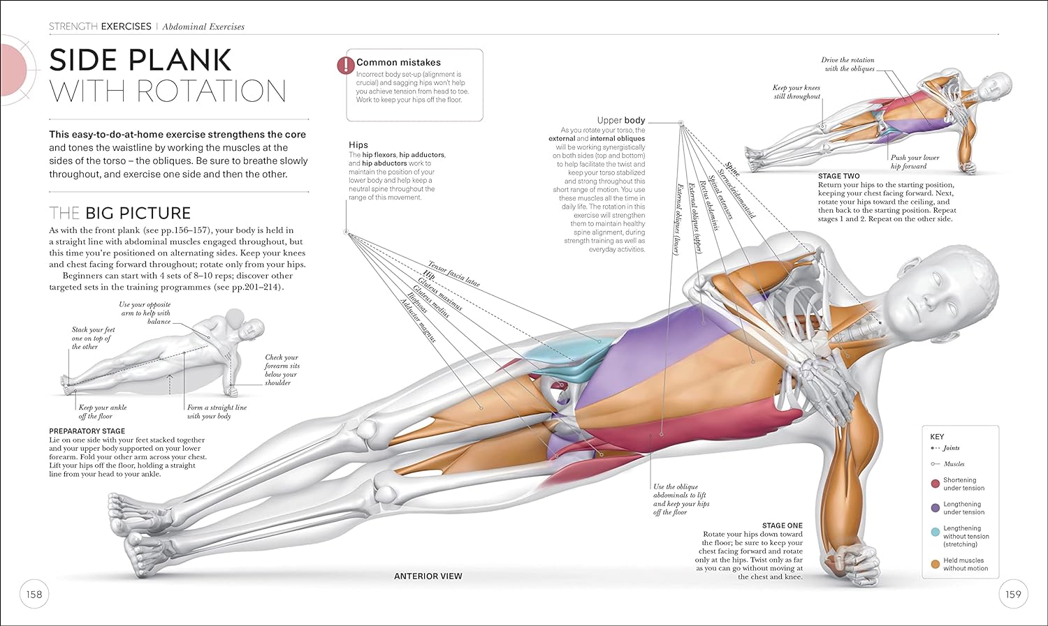 The Anatomy Of Strength Training Human Kinetics Delavier's Women's