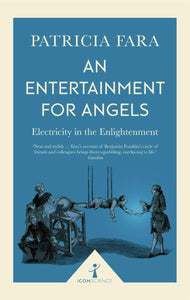An Entertainment for Angels; Patricia Fara