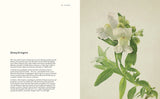 Anthology of Flowers; Jane Field-Lewis & Richard Maxted