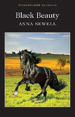 Black Beauty; Anna Sewell