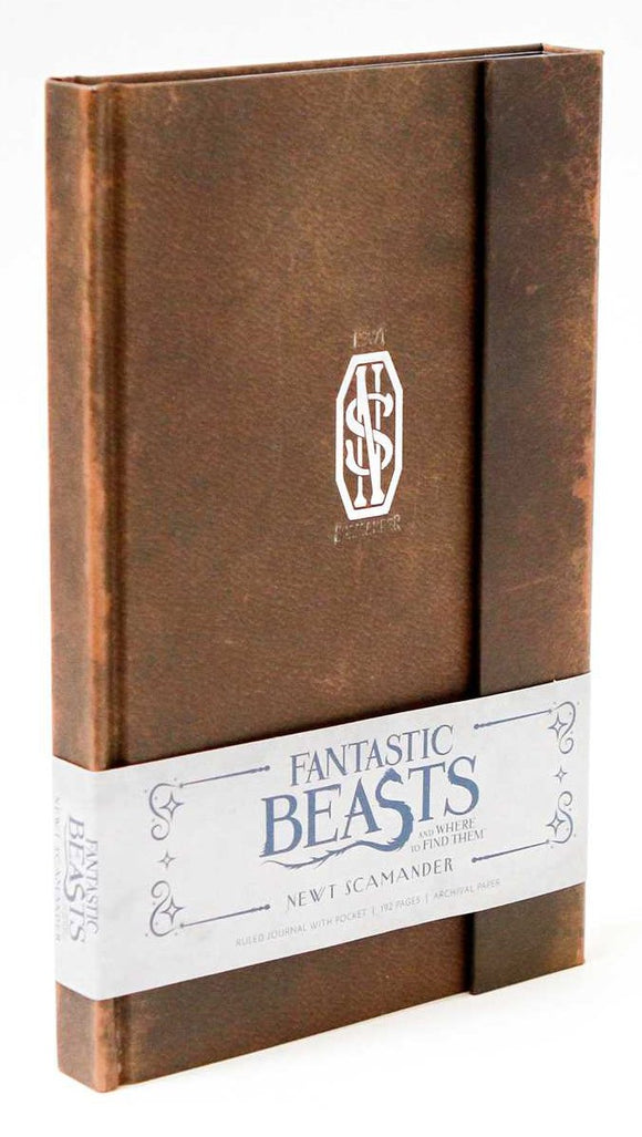 Fantastic Beasts And Where To Find Them, Newt Scamander