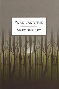 Frankenstein; Mary Shelley (VIVI Classics)