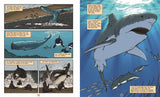 Graphic Prehistoric Animals: Mega Shark; Gary Jeffrey & Alessandro Poluzzi