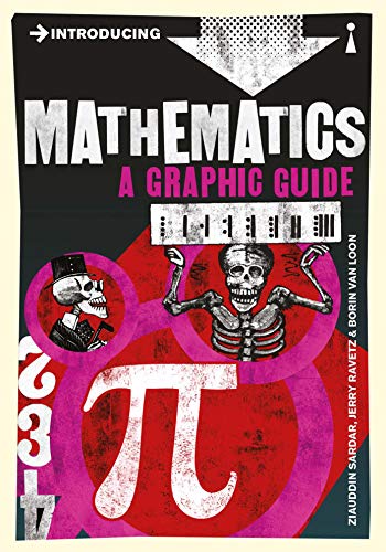 Introducing Mathematics, A Graphic Guide