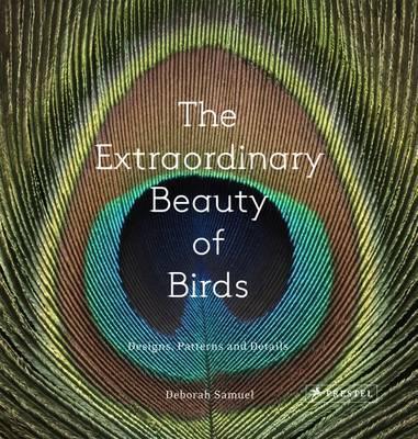 The Extraordinary Beauty of Birds: Designs, Patterns and Details; Deborah Samuel
