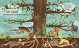 The Magic & Mystery of Trees; Jen Green