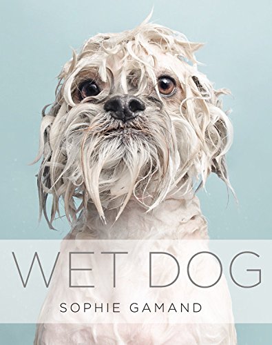 Wet Dog; Sophie Gamand