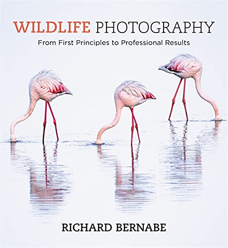 Wildlife Photography: From First Principles to Professional Results; Richard Bernabe
